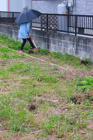 2013.11.02.02.s.jpg