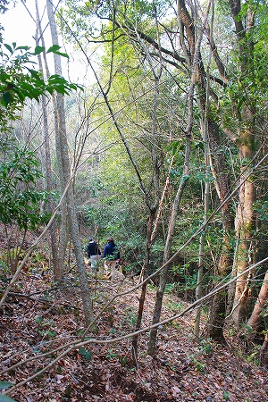 2014.02.03.06.m.jpg