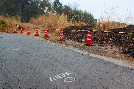 2014.02.17.02.m.jpg