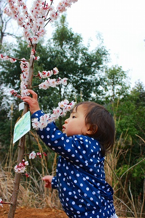 2014.03.01.06.m.jpg